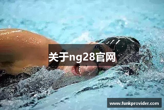 关于ng28官网